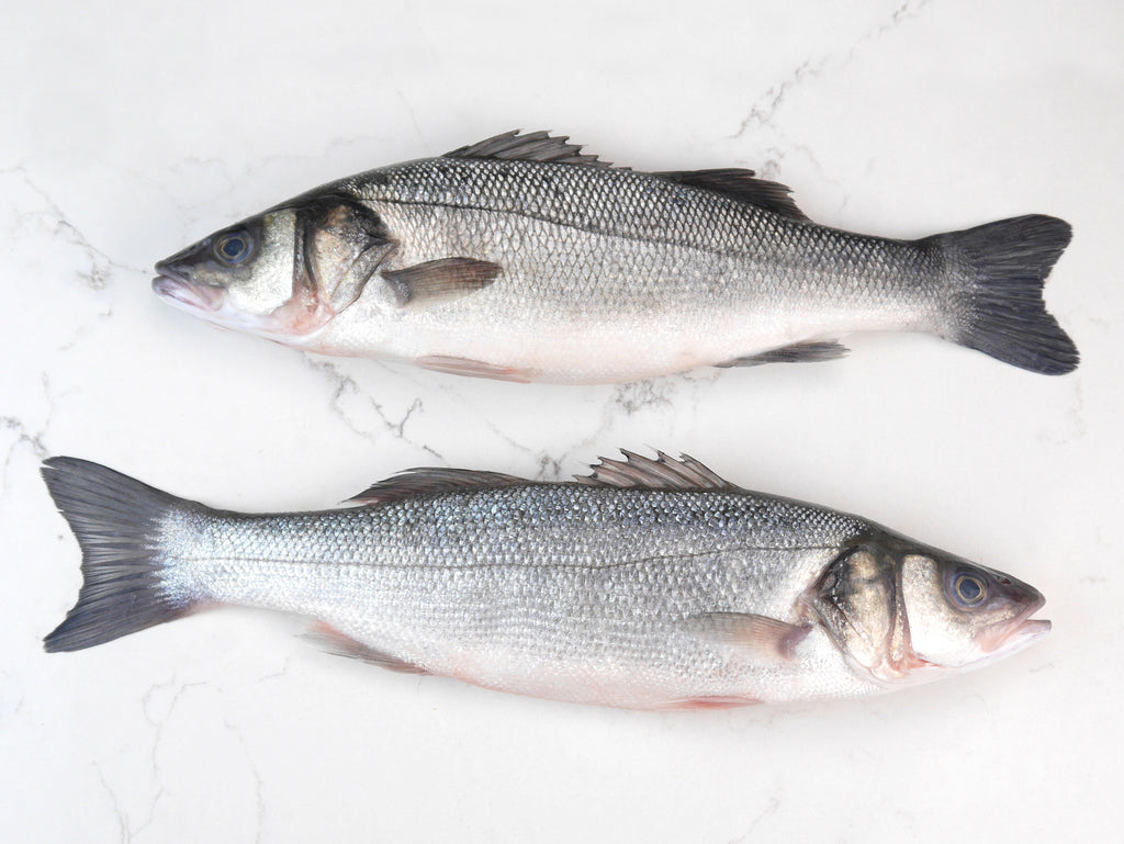Cabassi Fish Caught & Delivered - Buy Fish & Seafood Online